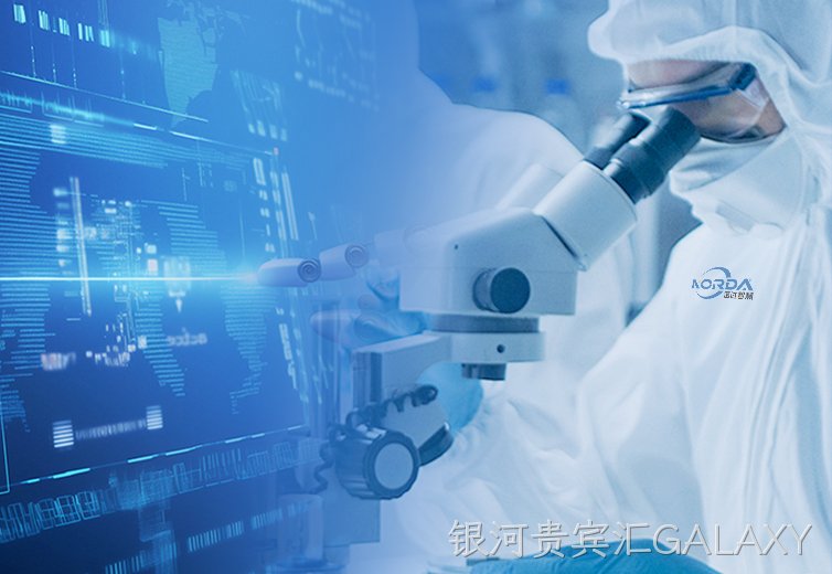 国际化系统化研发团队